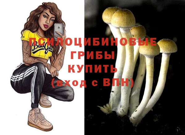 винт Алексеевка